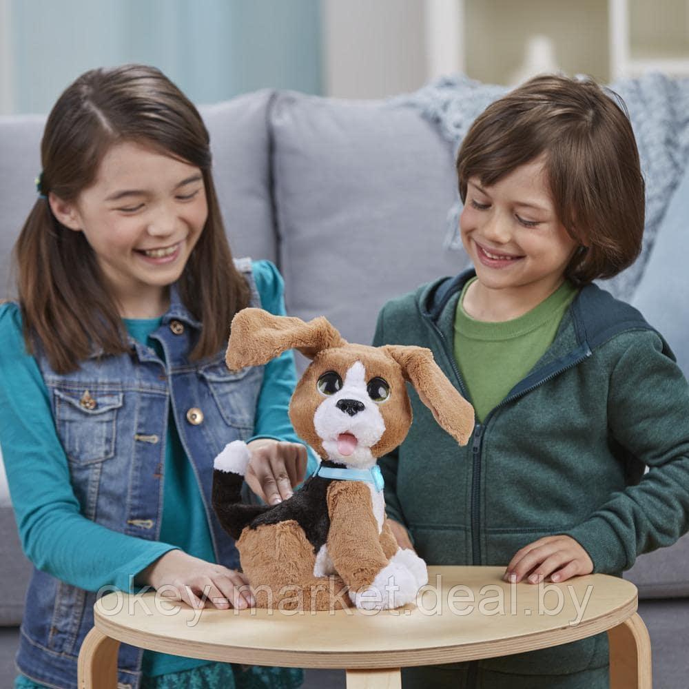 Интерактивная игрушка Говорящий щенок Чарли FurReal Friends Hasbro B9070 - фото 6 - id-p69773535