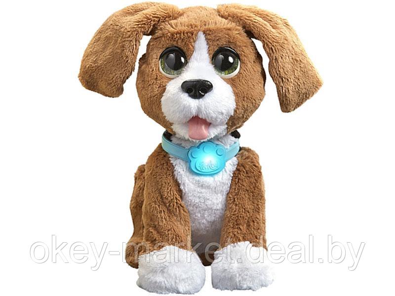 Интерактивная игрушка Говорящий щенок Чарли FurReal Friends Hasbro B9070 - фото 4 - id-p69773535