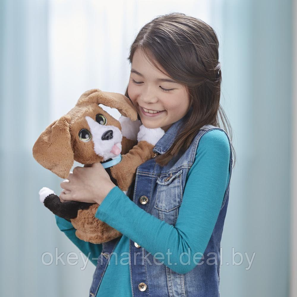 Интерактивная игрушка Говорящий щенок Чарли FurReal Friends Hasbro B9070 - фото 7 - id-p69773535