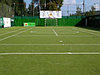 Искусственная трава(газон) для спортивных площадок, фото 2
