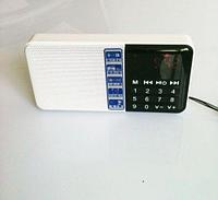 Портативный радиоприемник Hi-Rice SD-111 FM Белый (shu)