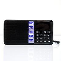 Портативный радиоприемник Hi-Rice SD-111 FM Черный (shu)