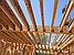 Балка деревянная БД-ЕС - 360 (Полка - 60х45). Длина до 6 метров. С обработкой биозащитой NEOMID 435 ECO, фото 4