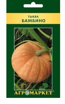 Тыква Бамбино, 5шт. (22699)