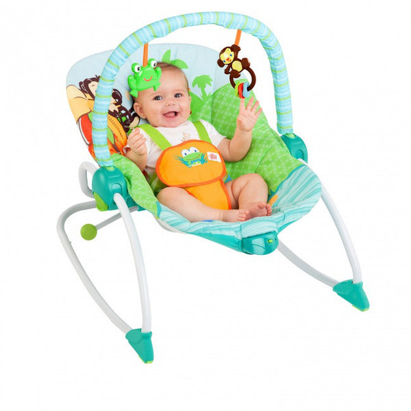 Bright Starts 60127 Baby to big Kid Rocker