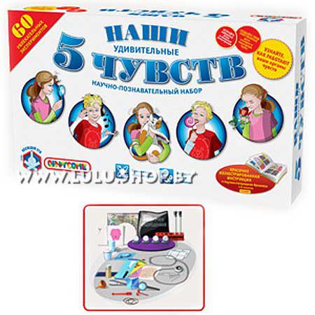 Набор для исследований "Наши 5 чувств" (QIDDYCOME ST-NS1286)