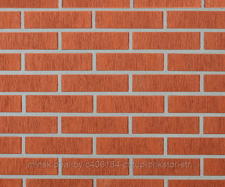 Печной кирпич ASAIS JANKA, 250X120X65, фото 2