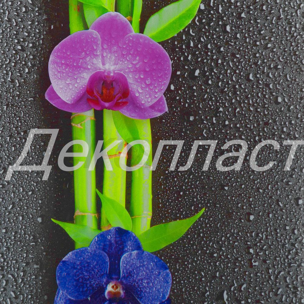 Панель ПВХ ДекоПласт ДекоСтар Стандарт New Орхидея 1/351 - фото 1 - id-p70560852