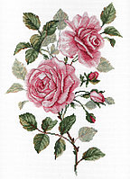 Набор для вышивания крестом «Садовые розы».