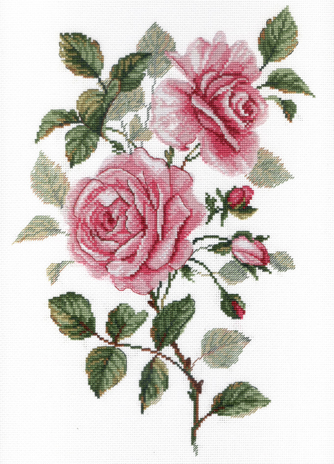 Набор для вышивания крестом «Садовые розы». - фото 1 - id-p70695452