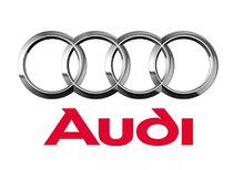 Брызговики на AUDI