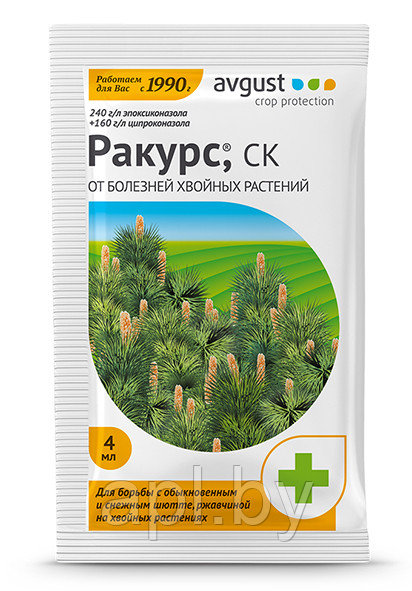 Ракурс, ампула, 4мл.
