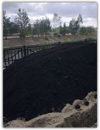 Почва чернозем - фото 4 - id-p71034011