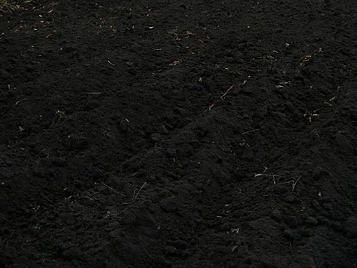 Чернозем с доставкой - фото 8 - id-p71034007