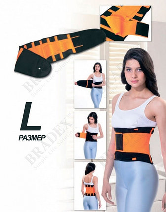 Пояс с поддерживающим и моделирующий эффектом, размер L (Xtreme Power Belt  (Women & Men), size L), фото 2