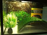 Аквариум для красноухих черепах 5 литров GREEN (комплект), фото 2