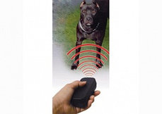 Ультразвуковой отпугиватель собак Dog Repeller с фонариком, фото 3