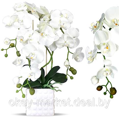 Цветочная композиция из орхидей в горшке B039, фото 3
