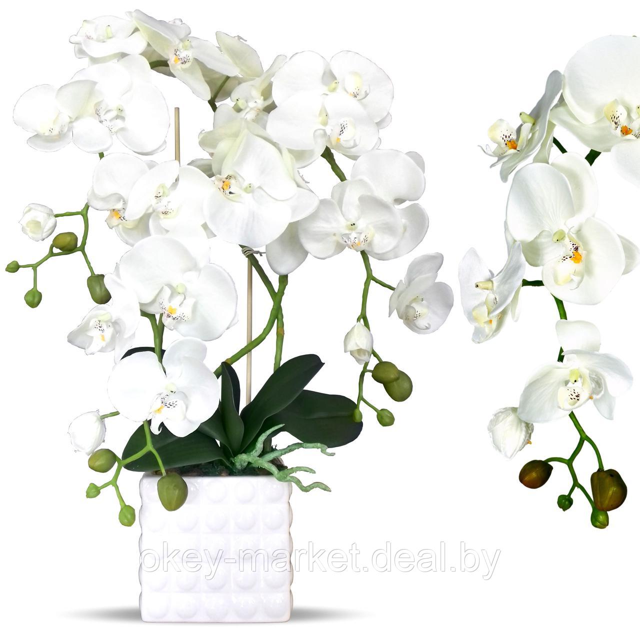 Цветочная композиция из орхидей в горшке B039 - фото 3 - id-p71910524