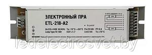 EHXc 270.317 188224 Электронный пускорегулирующий аппарат для металлогалогенных ламп HI 2x70W