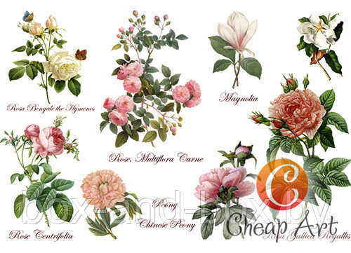 Декупажная карта В краю магнолий