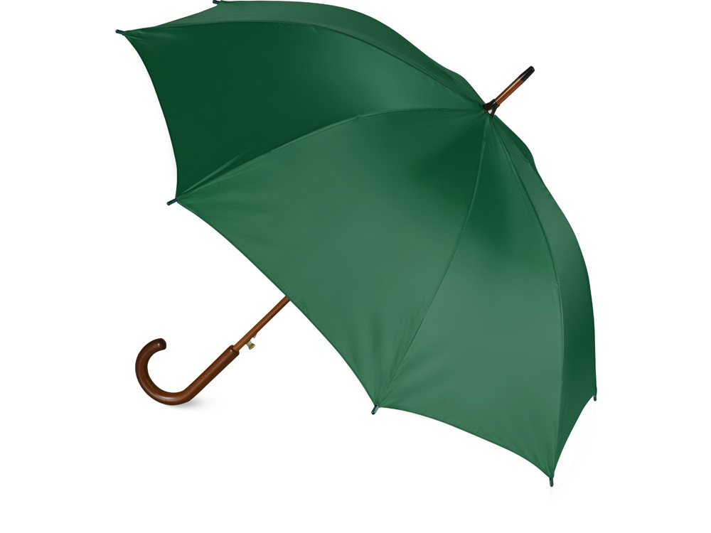 Зонт-трость Радуга, зеленый - фото 2 - id-p72051826