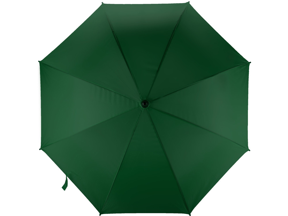Зонт-трость Радуга, зеленый - фото 8 - id-p72051826