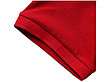 Calgary мужская футболка-поло с коротким рукавом, красный, фото 5
