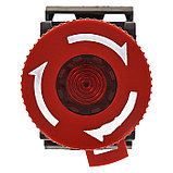 Кнопка "Гриб" с фиксацией поворотная AE-22 (NO+NC) красная EKF PROxima, фото 3
