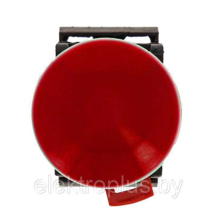 Кнопка "Гриб" AEA-22 (NO+NC) красная EKF PROxima - фото 2 - id-p72163057