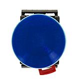 Кнопка "Гриб" AEA-22 (NO+NC) синяя EKF PROxima, фото 2