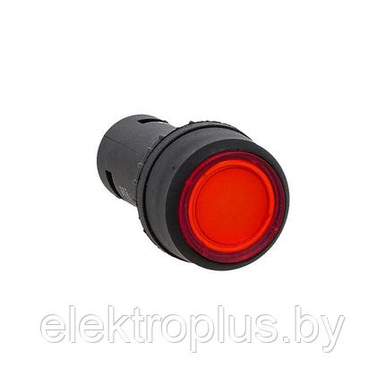 Кнопка SW2C-10D с подсветкой красная NO 24В EKF PROxima, фото 2