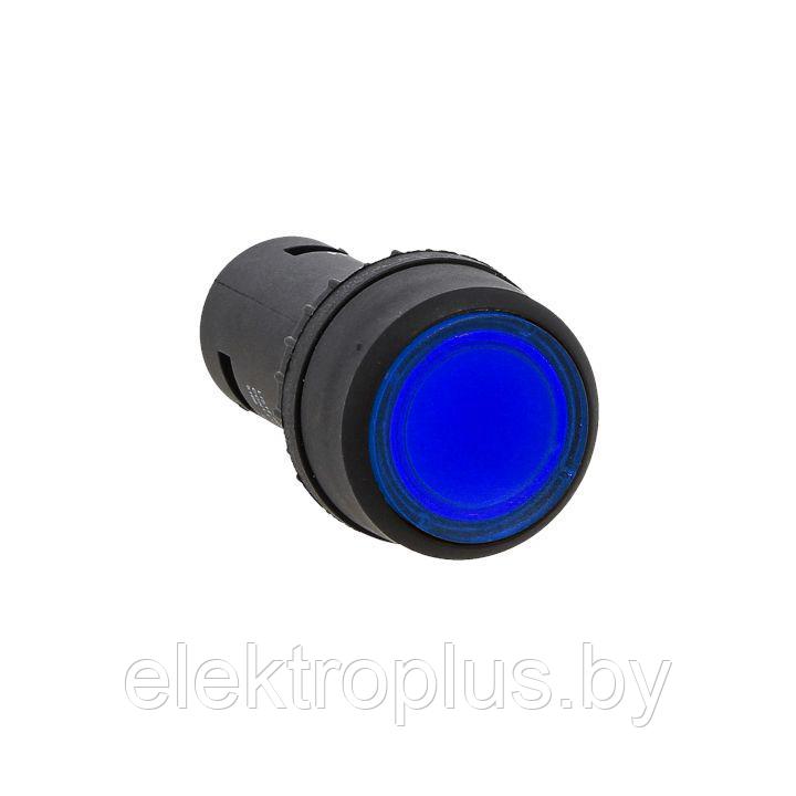 Кнопка SW2C-10D с подсветкой синяя NO 230В EKF PROxima - фото 1 - id-p72163096