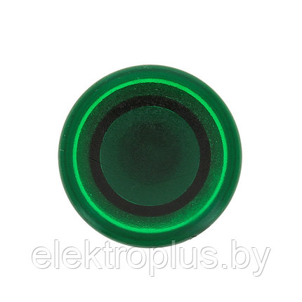 Кнопка "Гриб" с подсветкой SW2C-MD (NO) 24В зеленая IP54 EKF PROxima, фото 2