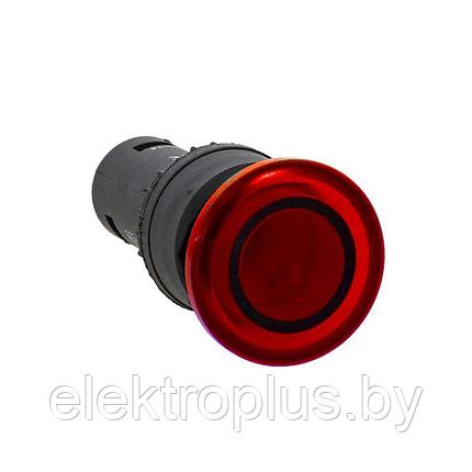 Кнопка "Гриб" с подсветкой SW2C-MD (NC) IP54 красная EKF PROxima, фото 2