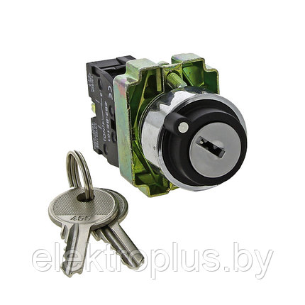 Переключатель BG73 3P с замком возвратный 2NO EKF PROxima, фото 2