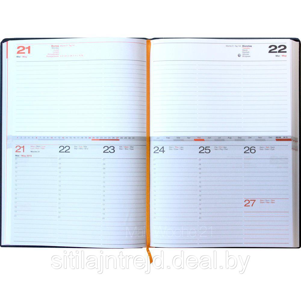 Ежедневник-еженедельник, 2 в 1 AVENUE, 165*235 формат А5 (Lediberg), 2016, серый, синий - фото 1 - id-p72202217