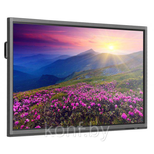 Интерактивная доска MultiBoard Prestigio 55" - фото 1 - id-p72252844