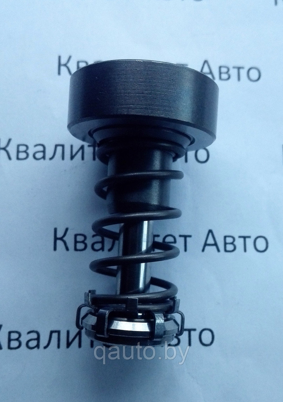 Плунжерная пара ТНВД CP1 F01M101349 Citroen, Peugeot, Alfa Romeo, Fiat, Lancia