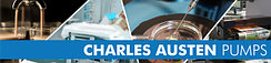  Charles Austen Pumps 