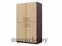 Шкаф-ст-закрытый-2д-2д 600х338х1540