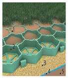 Газонная решётка Ecoteck Parking, экопаркинг. Модуль 603,7х603,7х4,4 (2,84 шт в м.кв.), фото 6