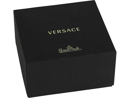 Набор бокалов для шампанского  Versace Medusa, фото 2