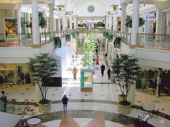 украшение бизнес центров фойе