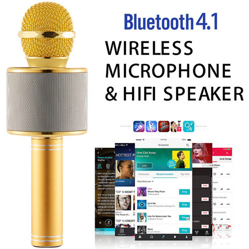 Wster WS-858 Беспроводной Bluetooth караоке микрофон HIFI (аналог) - фото 5 - id-p72721659