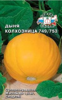 Дыня КОЛХОЗНИЦА, 0.5г - фото 1 - id-p3324300