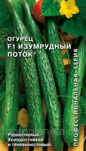 Огурец ИЗУМРУДНЫЙ ПОТОК® F1, 0.2г - фото 1 - id-p3330786