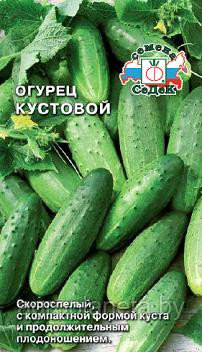 Огурец КУСТОВОЙ, 0.5г - фото 1 - id-p3330810