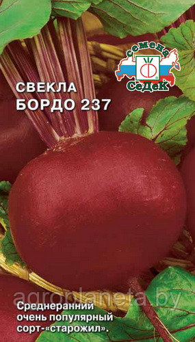 Свекла БОРДО 237, 3г - фото 1 - id-p3331259