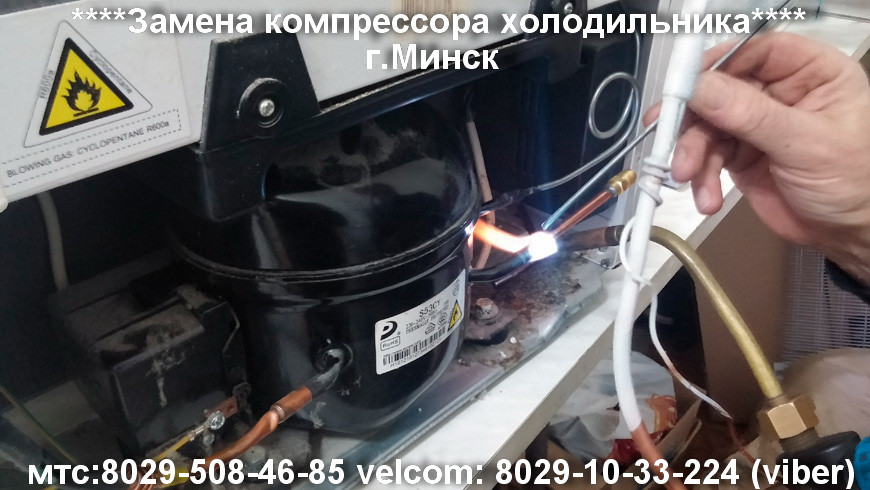 Замена компрессора холодильника в Минске - фото 1 - id-p72824162